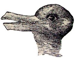 Оптические иллюзии: Что это, заяц или утка?.  254x198, 13906 байт